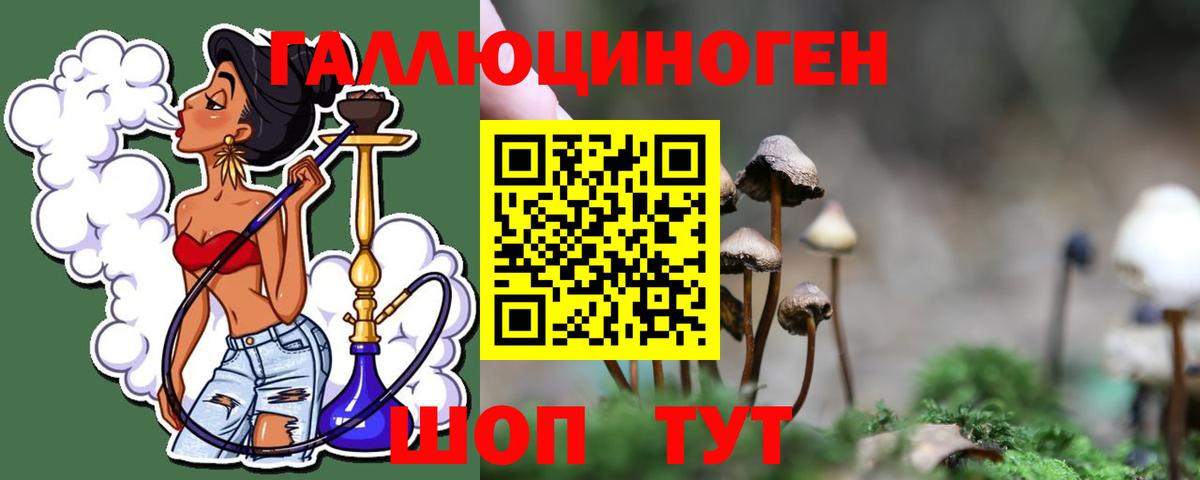 Богородицк  Псилоцибиновые грибы ЛСД  Псилоцибиновые грибы Psilocybine cubensis  Вход с VPN 